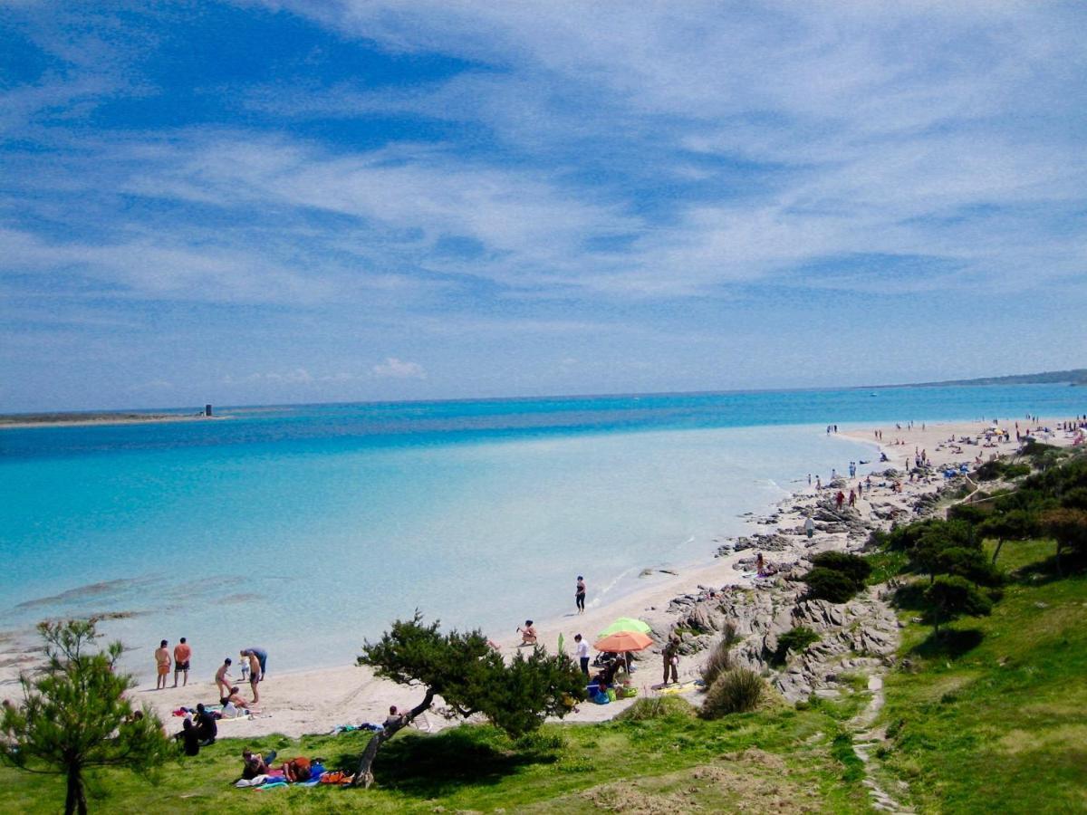 Apartment Arianna 150Mt From Beach كاستيلساردو المظهر الخارجي الصورة
